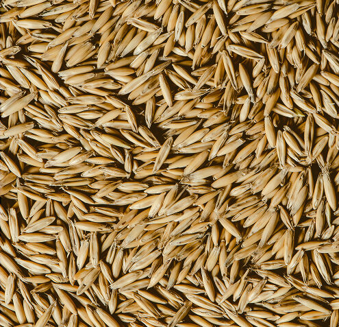 Uso de biomasa procedente de la cascarilla de avena.